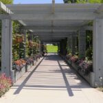 pergola structure arbor what is an