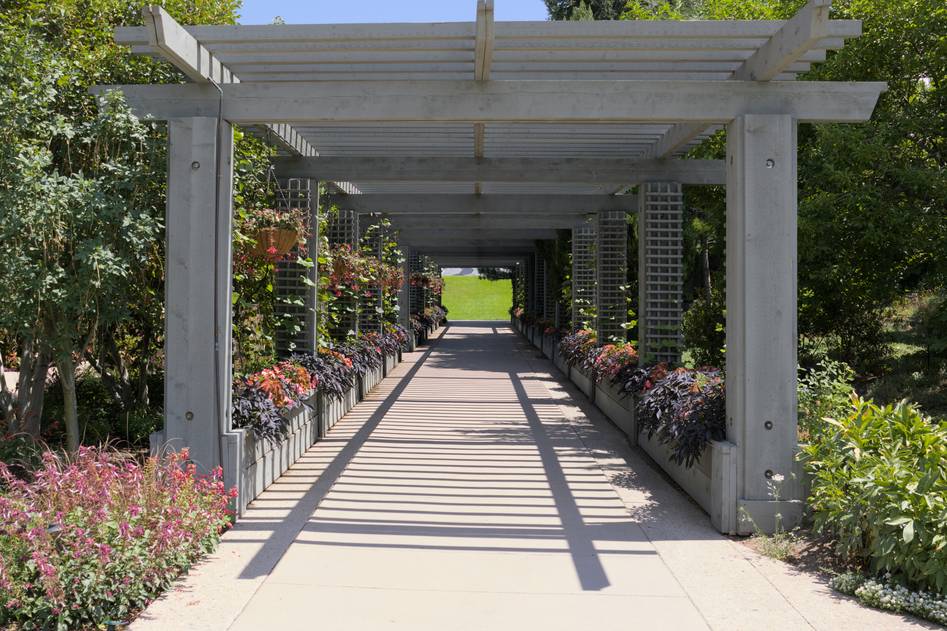 Wooden garden arbor with climbing roses